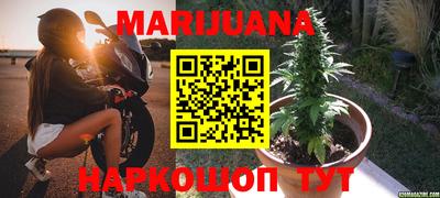 сатива Апрелевка