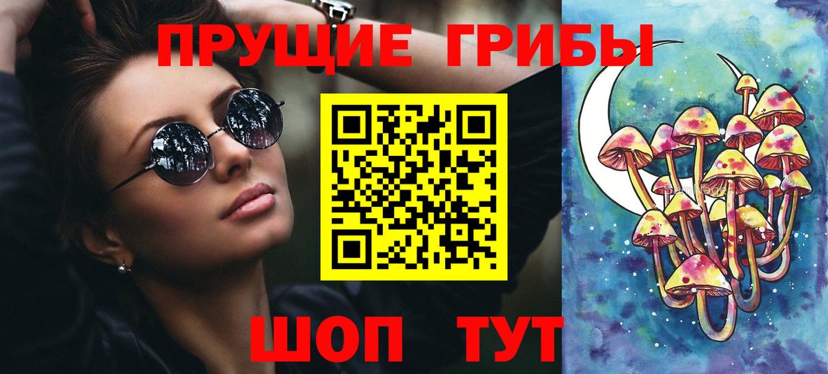 Богородск  Галлюциногенные грибы Psilocybe  Вход с VPN 