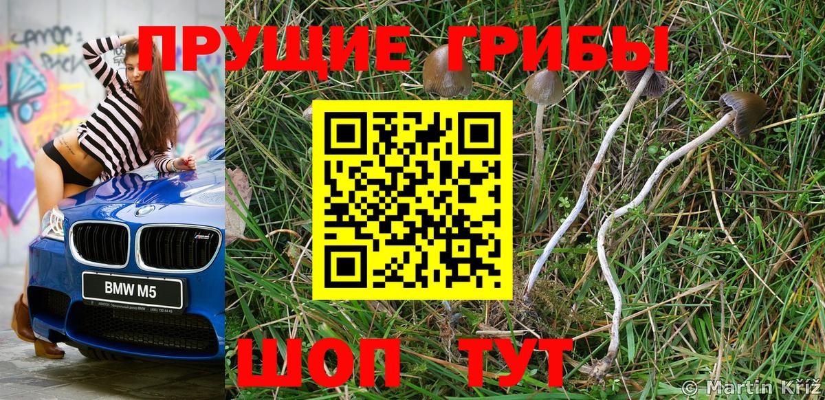 Псилоцибиновые грибы GOLDEN TEACHER Богородск
